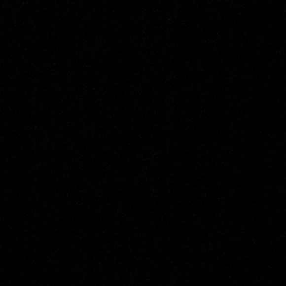 Meet your Posher, Shaniqua - Picture 1 of 1